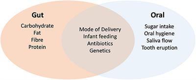 The Oral Microbiome in Pediatric IBD: A Source of Pathobionts or Biomarkers?
